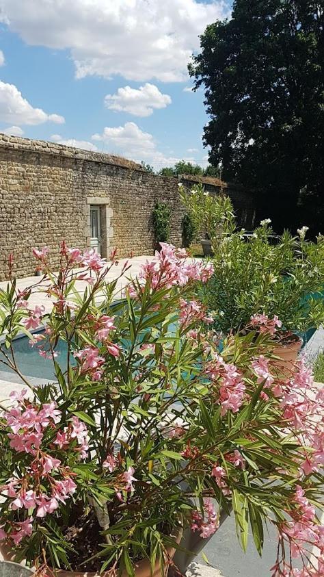 L'Annexe Du Plessis Bochard Guest House Saint-Pierre-des-Nids Екстериор снимка